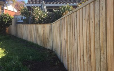 Why choose pine lap and cap fencing for your home?