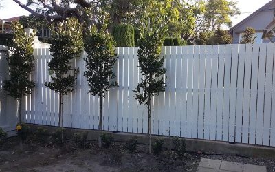 What services are offered by fencing contractors?