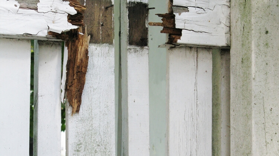 to replace your fence
