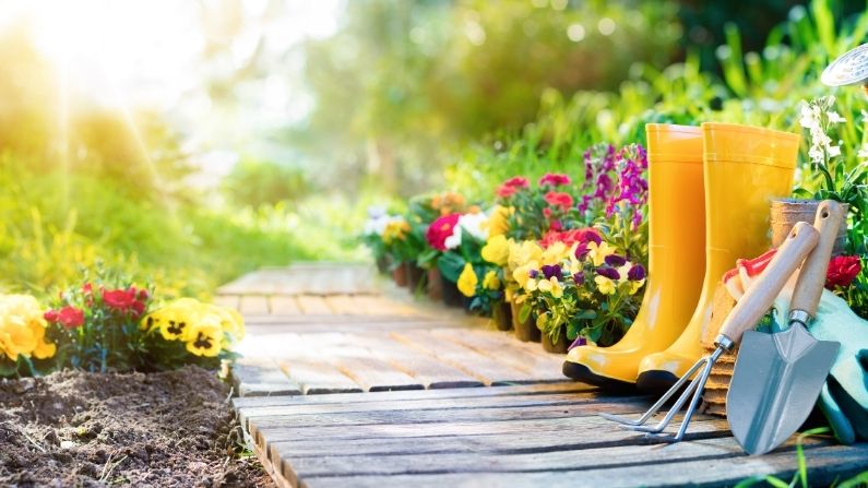 small-garden-ideas