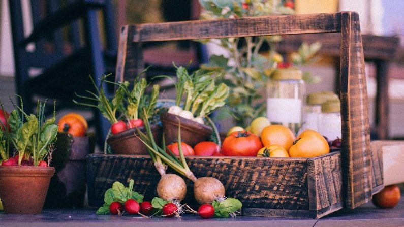 vegetable-garden