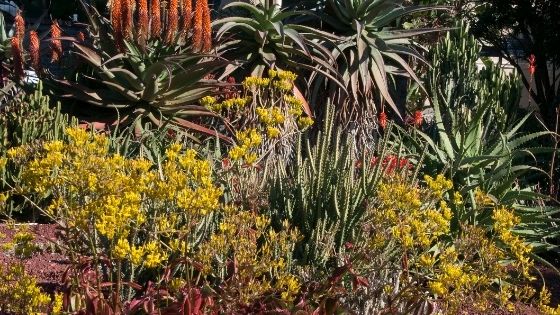 prepare your garden for winter