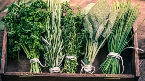 herbs to grow at home